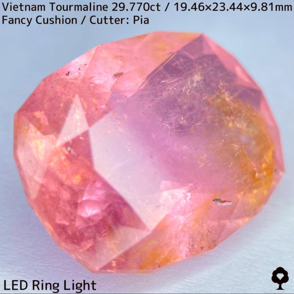 Tourmaline 29.770ct / Vietnam