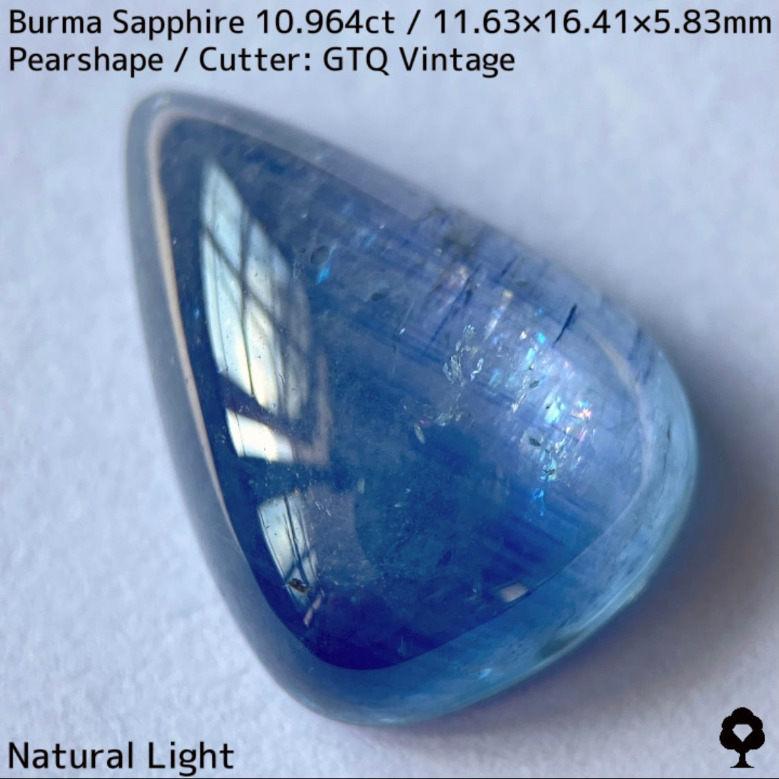 Sapphire 10.964ct / Burma / Cabochon