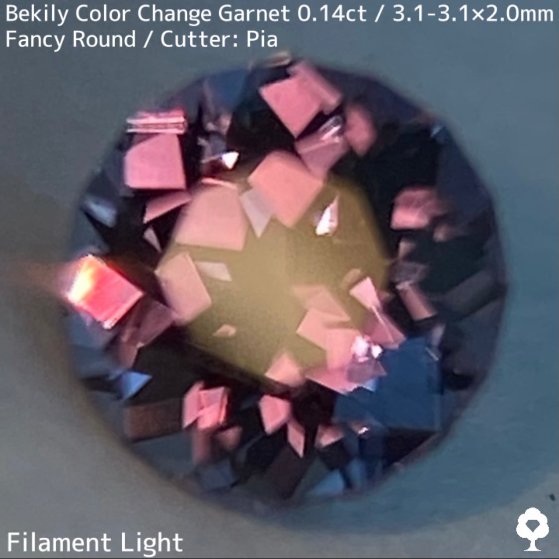 Color Change Garnet 0.14ct / Bekily(Madagascar)