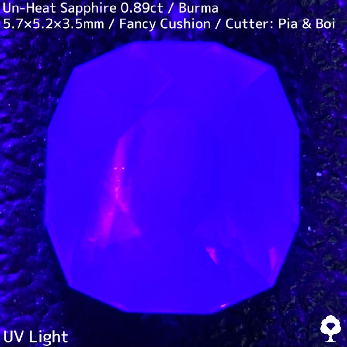 Un-Heat Sapphire 0.896ct / Burma