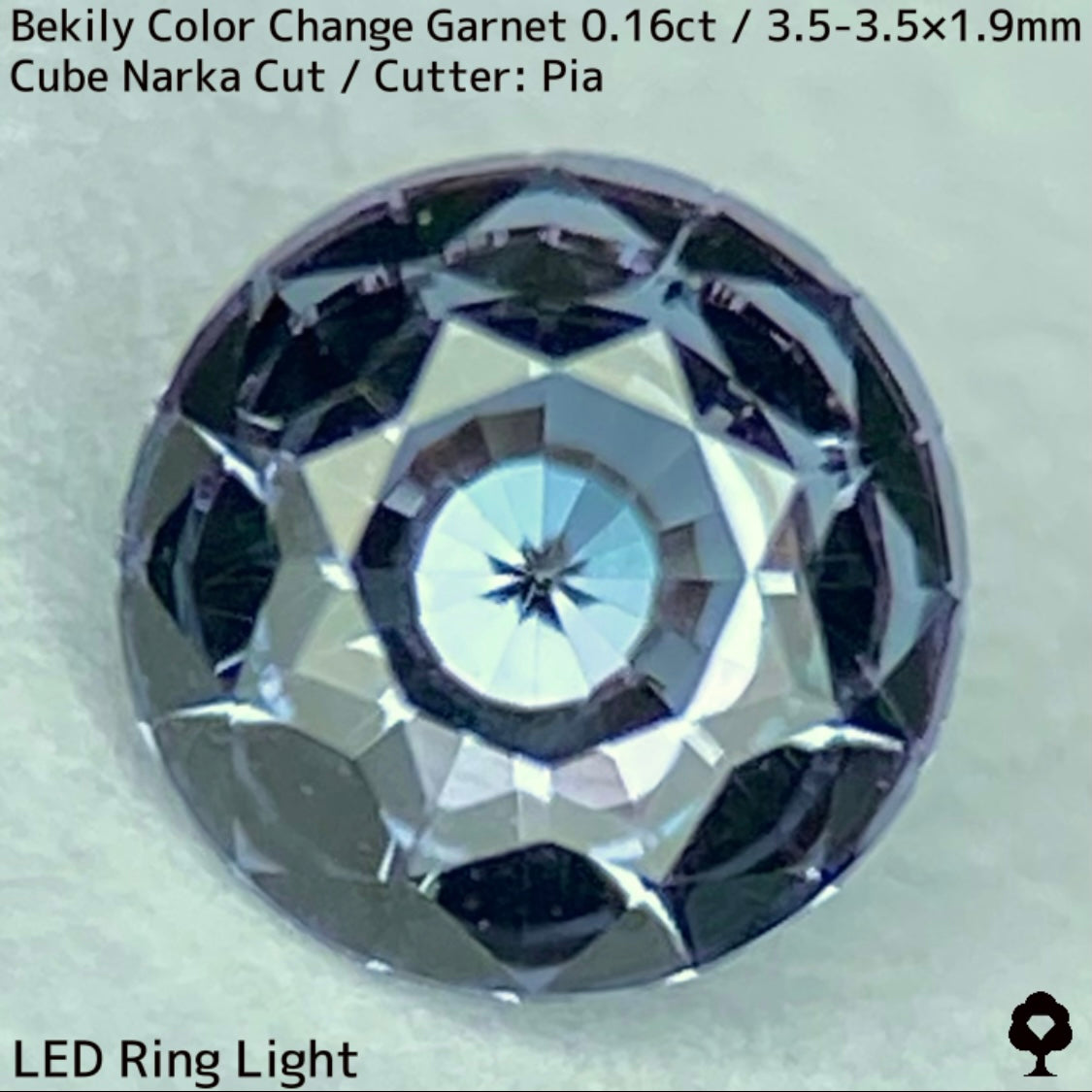 Color Change Garnet 0.161ct / Bekily(Madagascar)