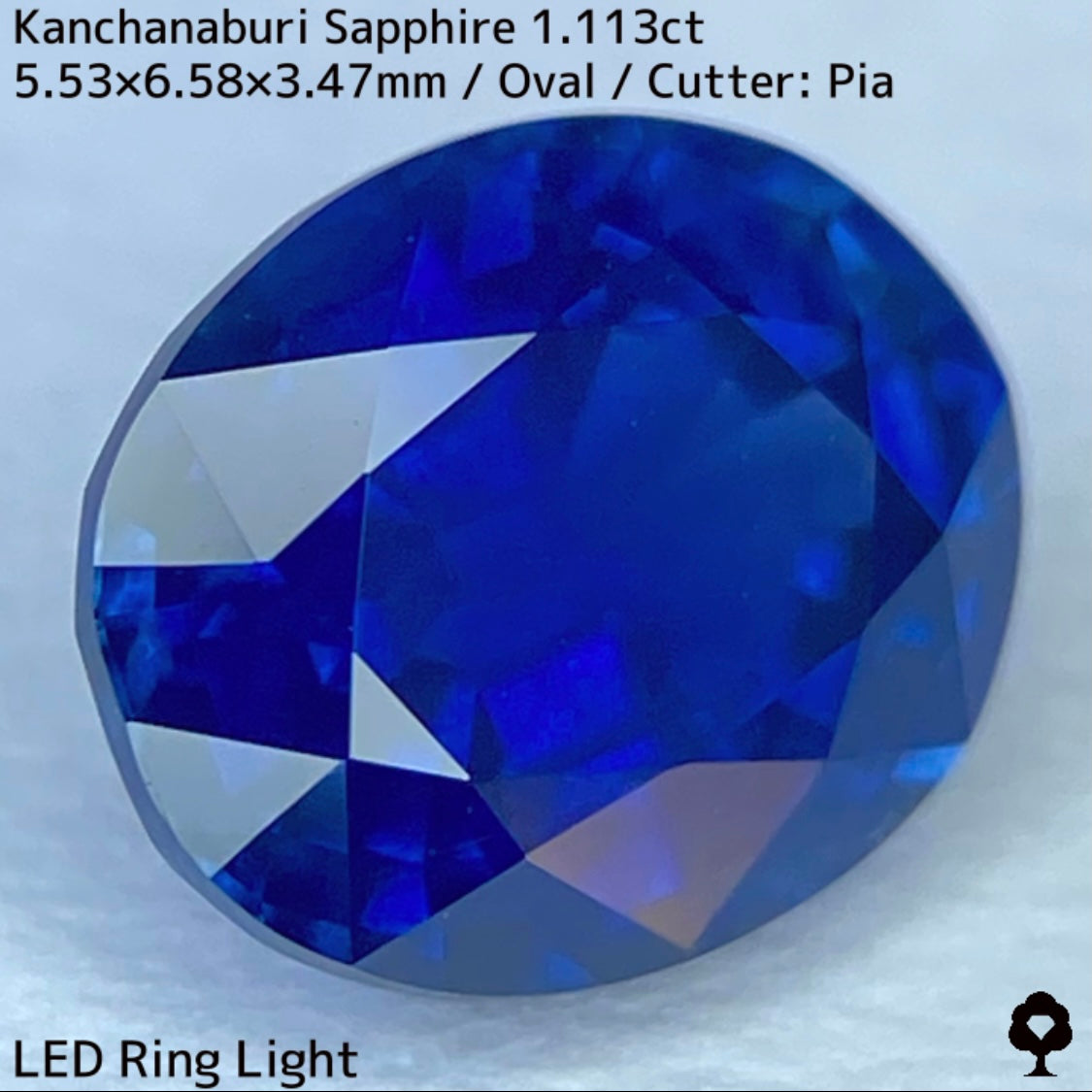 Kanchanaburi sapphire 1.113ct ★ A rare 1ct+ sapphire with a silky, slightly greenish blue color typical of Kanchanaburi