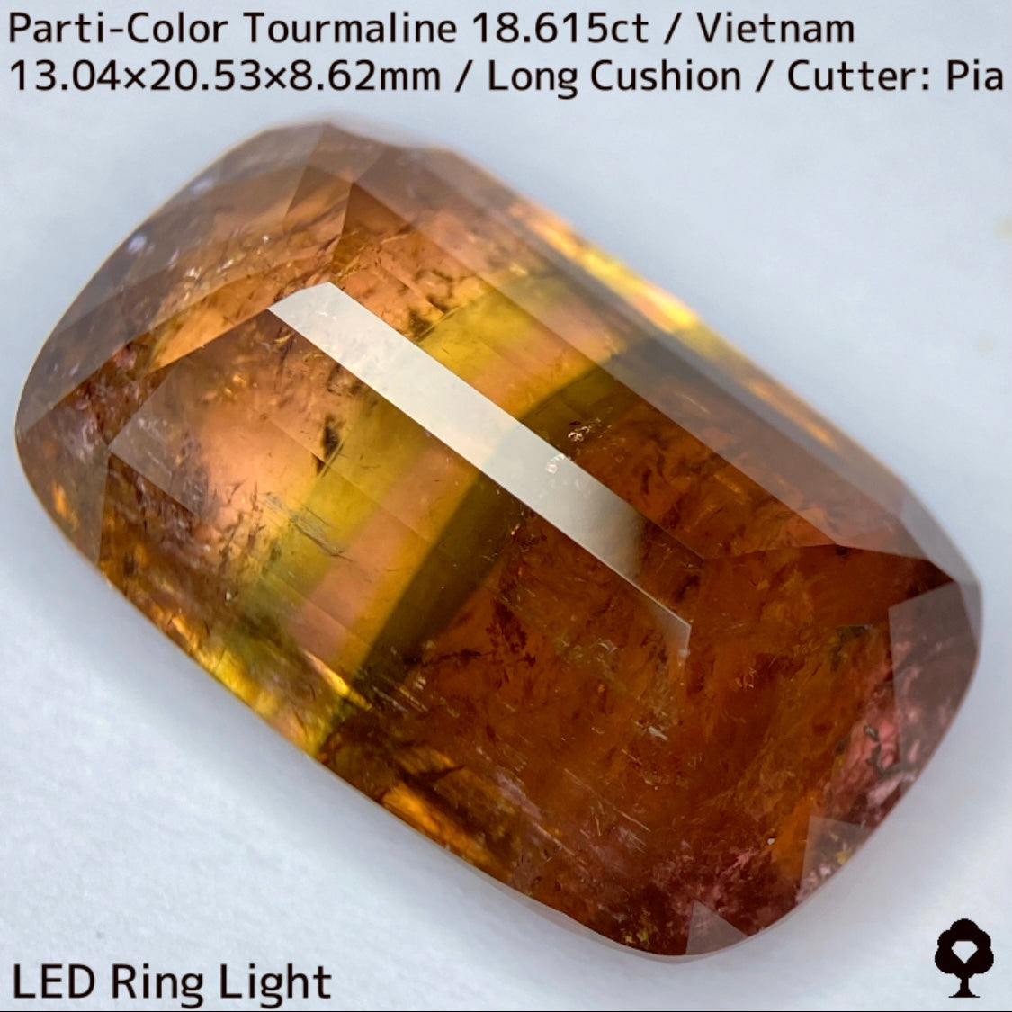 Parti-Color Tourmaline 18.615ct / Vietnam / Long Cushion