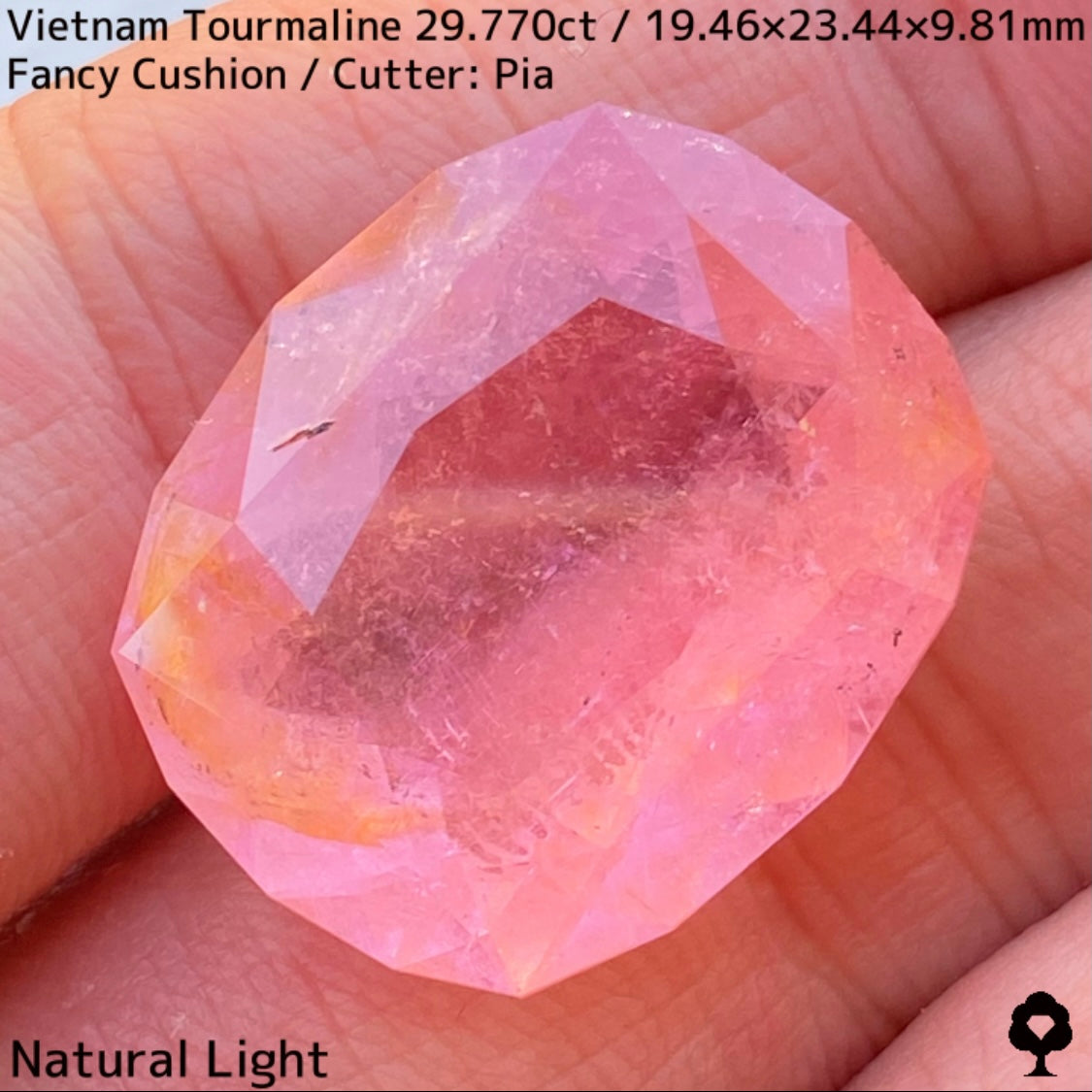 Tourmaline 29.770ct / Vietnam