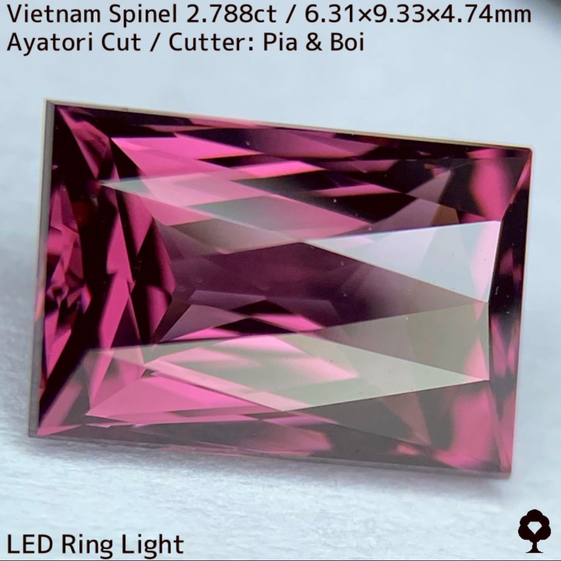 Spinel 2.788ct / Vietnam