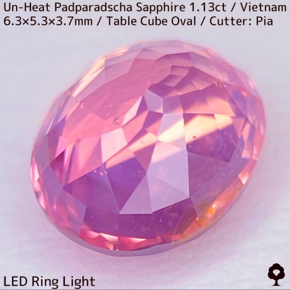 Un-Heat Padparadscha Sapphire 1.136ct / Vietnam