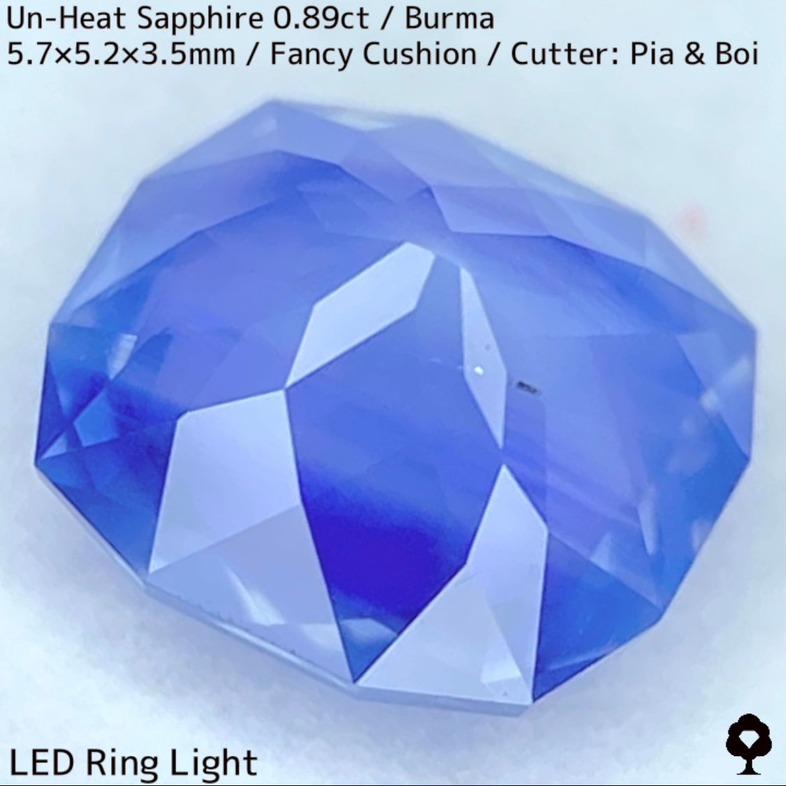 Un-Heat Sapphire 0.896ct / Burma