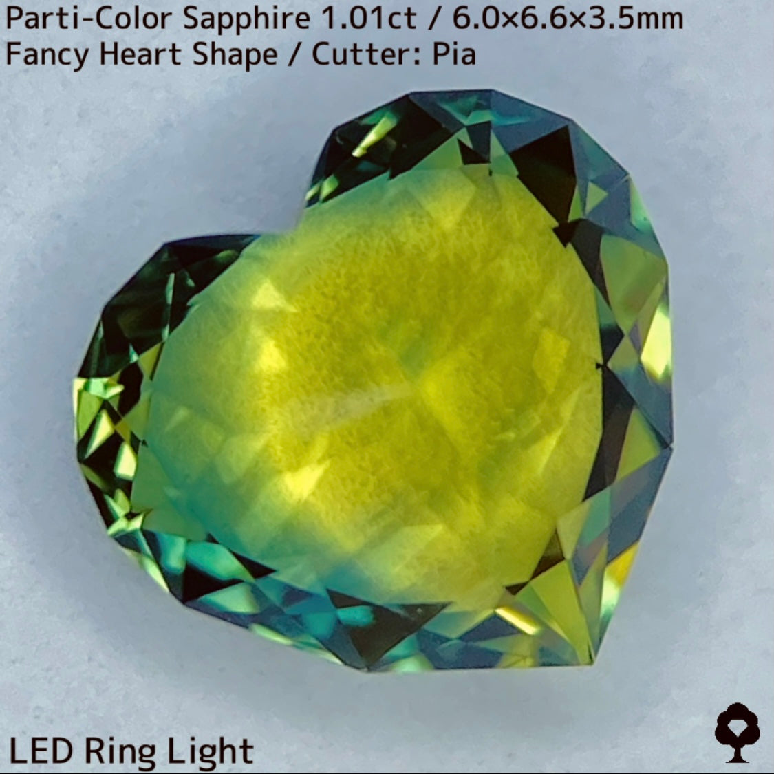 1.01ct Thai parti-colored sapphire ★ A rare fancy heart shape with a party feel that is typical of Bangkacha