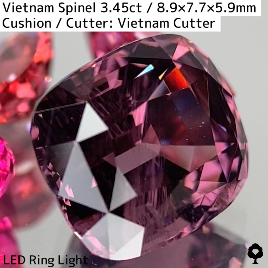 Spinel 3.45ct / Vietnam