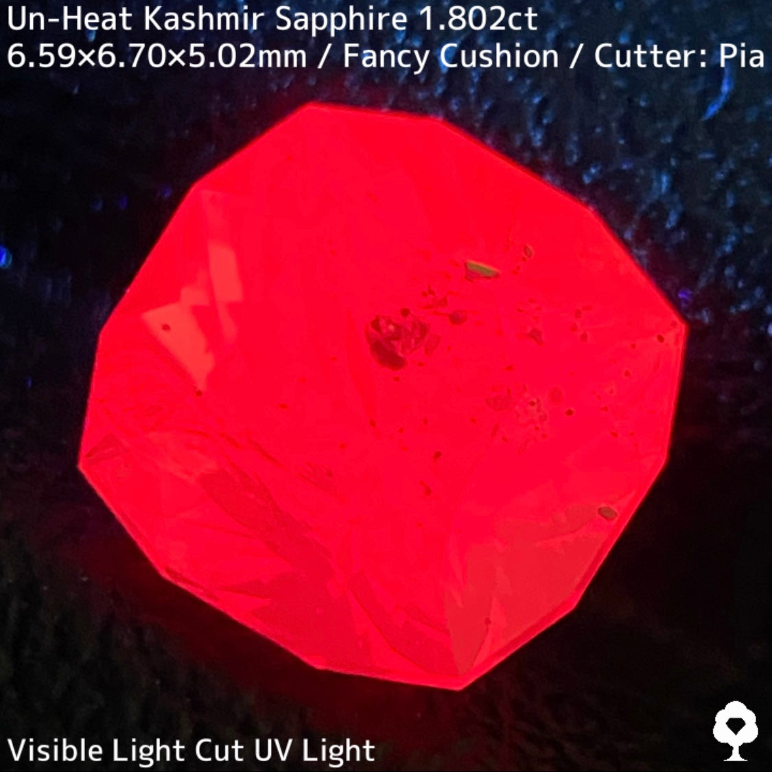 Unheated Kashmir sapphire from Pakistan 1.802ct ★ Enjoy this rare Kashmir masterpiece in a variety of light sources