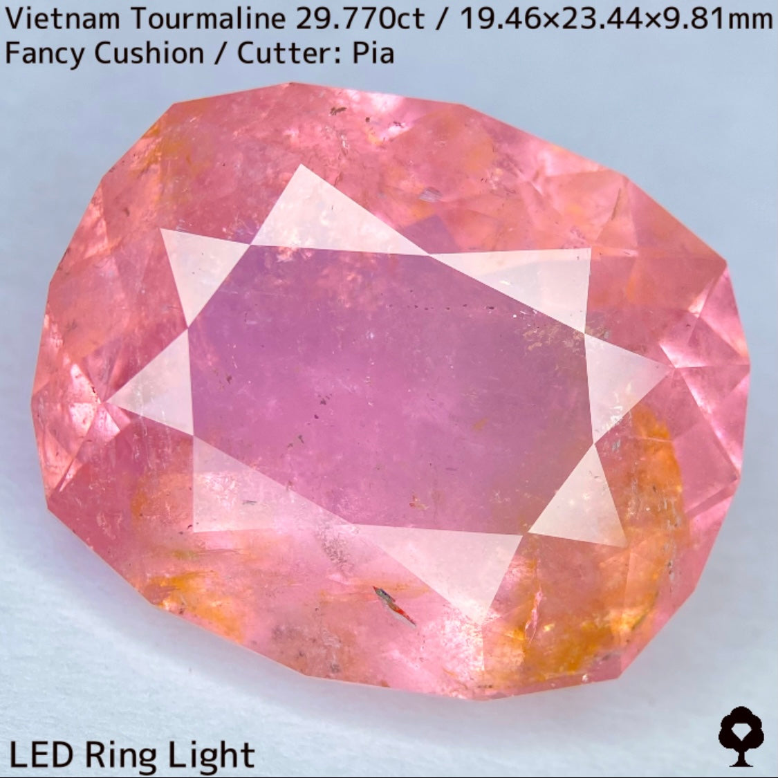 Tourmaline 29.770ct / Vietnam