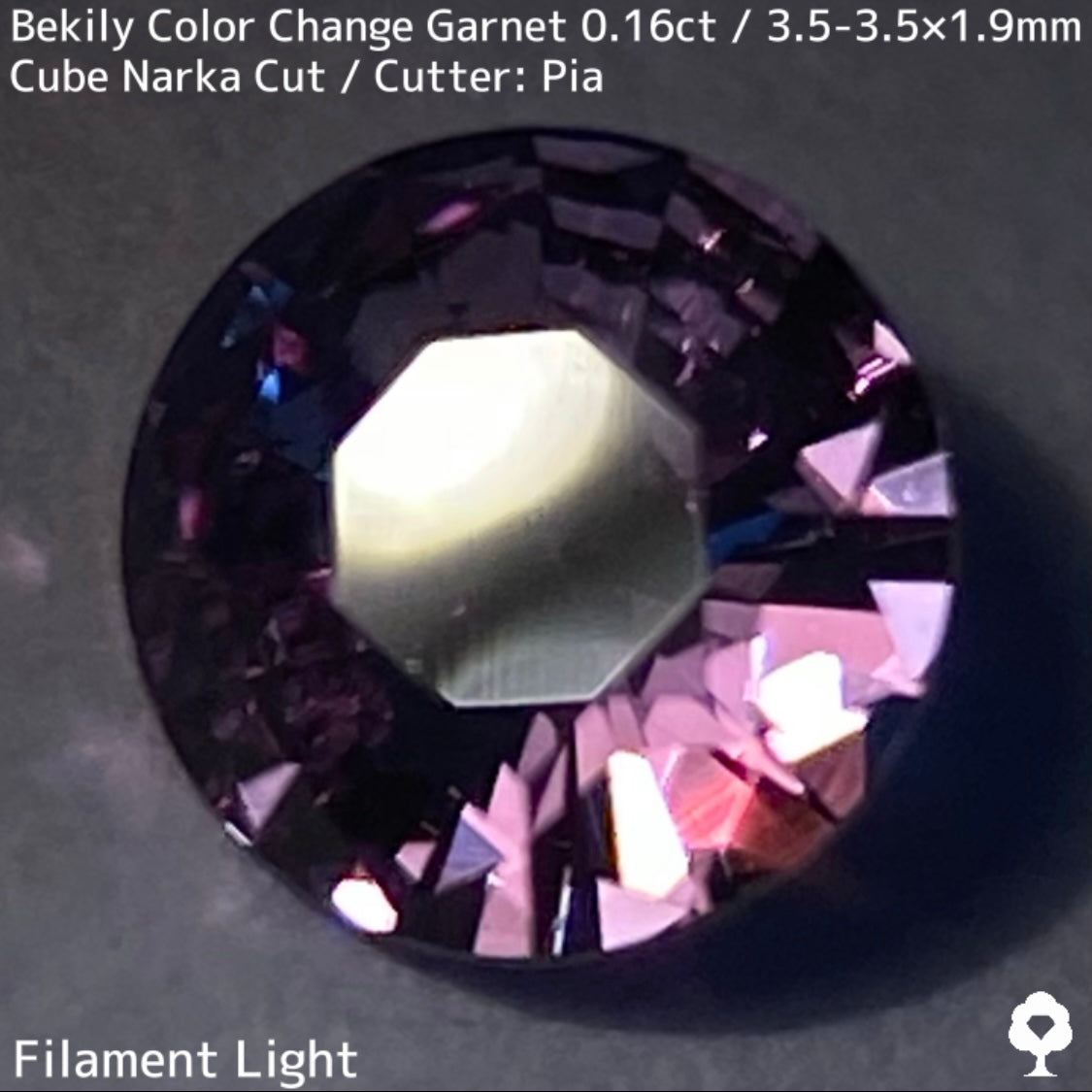 Color Change Garnet 0.161ct / Bekily(Madagascar)