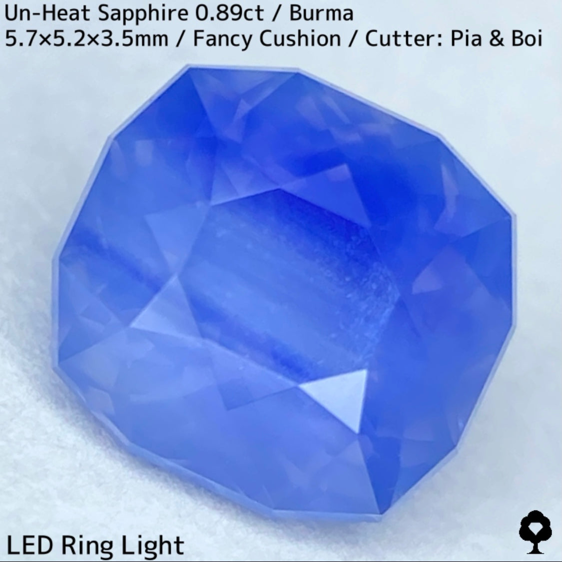 Un-Heat Sapphire 0.896ct / Burma
