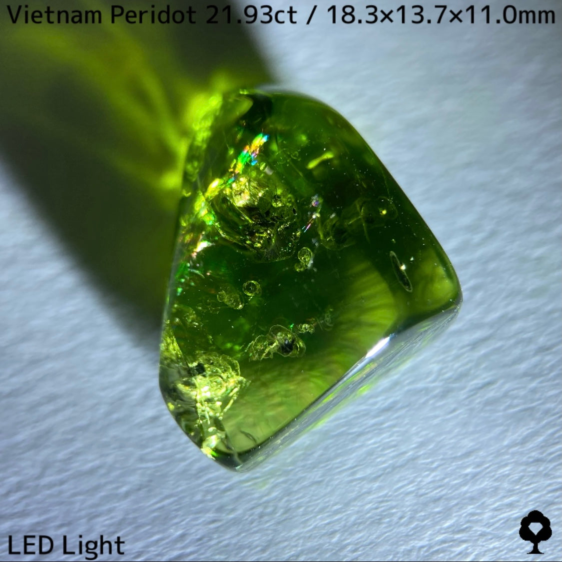 Peridot 21.93ct / Vietnam / Rough stone