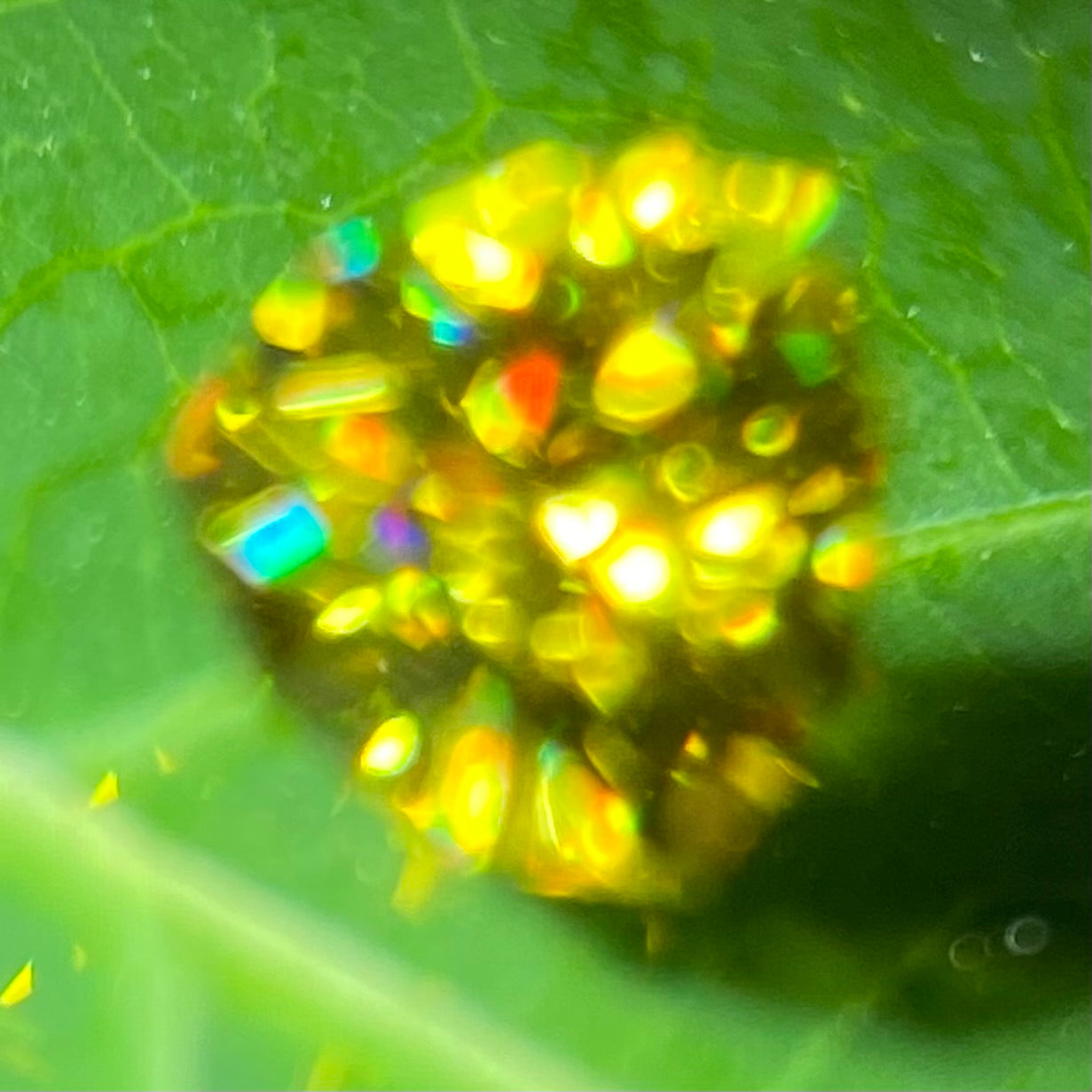 Sphene 0.42ct / Madagascar