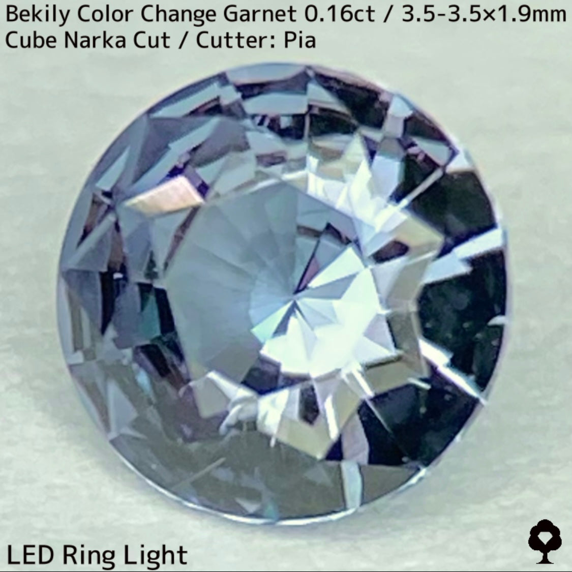 Color Change Garnet 0.161ct / Bekily(Madagascar)
