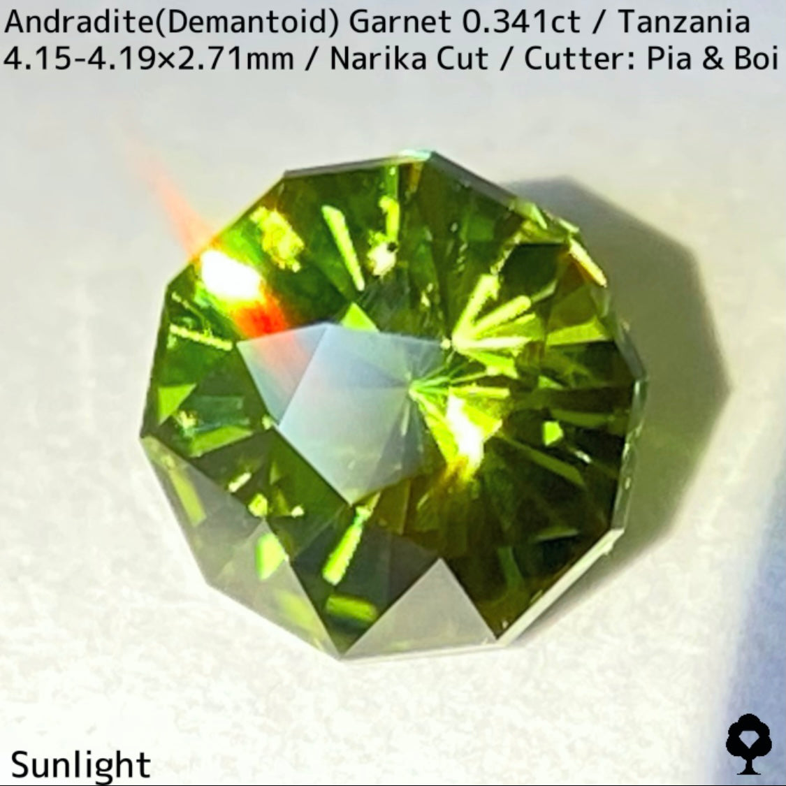 Andoradaite(Demantoid)0.341ct / Tanzania / Narika