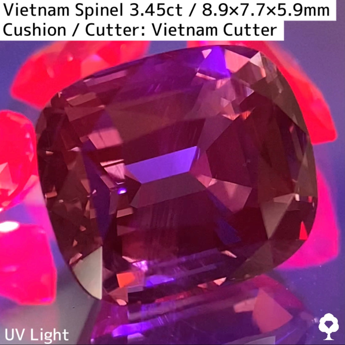 Spinel 3.45ct / Vietnam