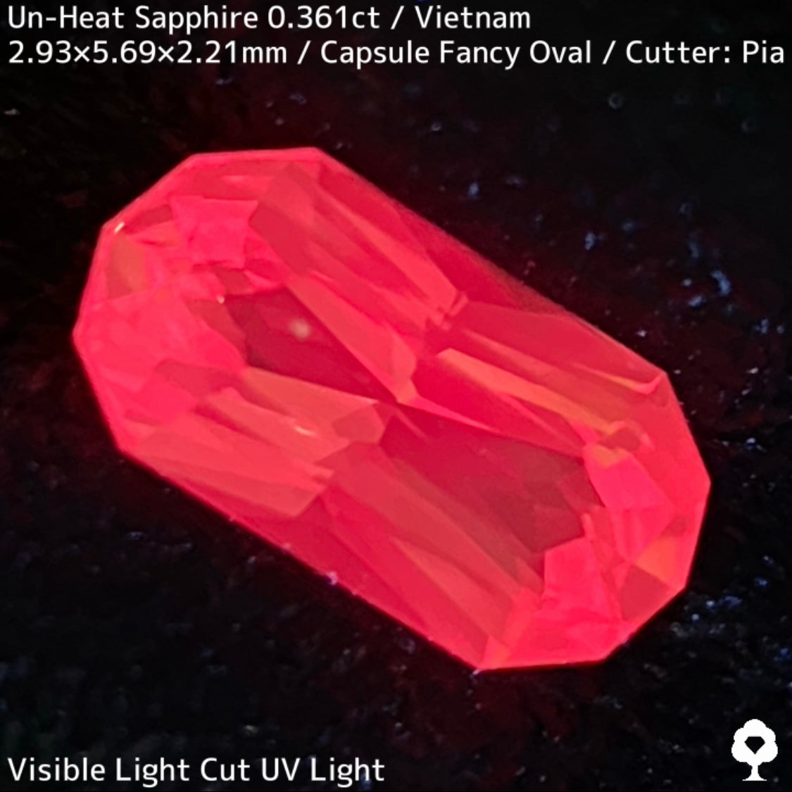 ベトナム産非加熱サファイア0.361ct★シルキーパープリッシュピンクとシルキーイエローのほんのりバイカラーが可愛い