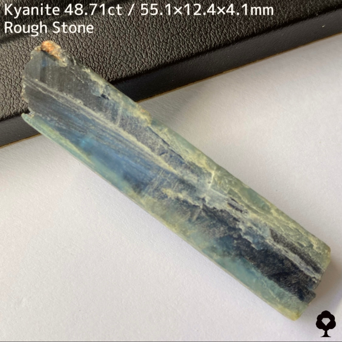 Kyanite 5.96ct / Nepal