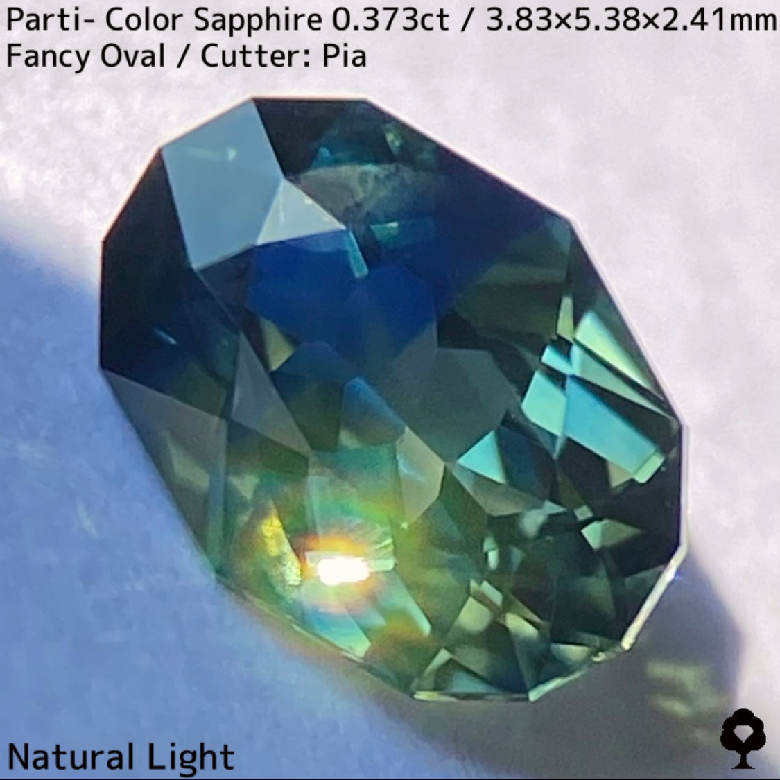 Parti-Color Sapphire 0.373ct / Thailand
