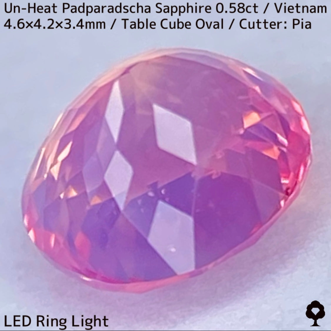 Un-Heat Padparadscha Sapphire 0.58ct / Vietnam