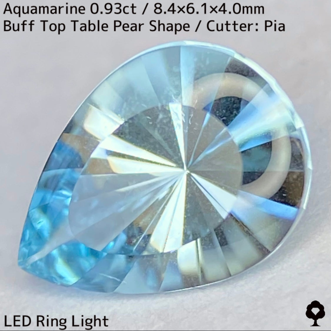 Aquamarine 0.93ct / Madagascar
