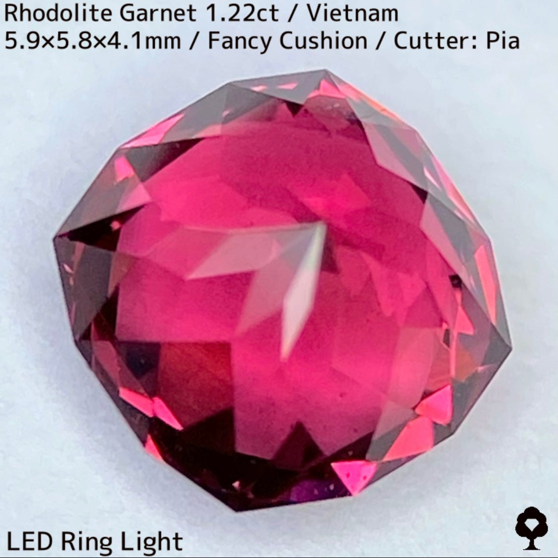 Rhodolite Garnet 1.22ct / Vietnam