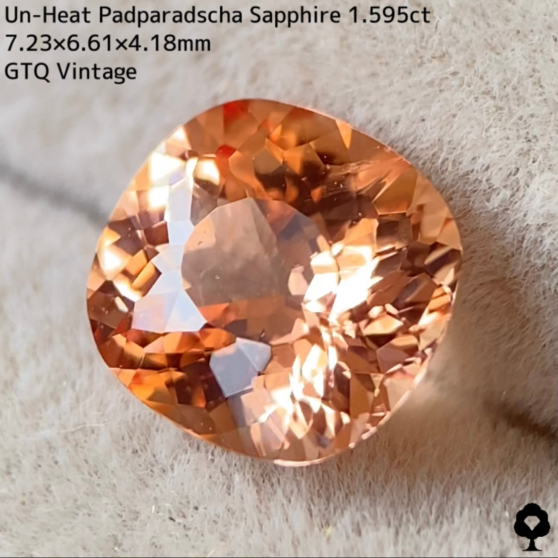 Un-Heat Padparadscha Sapphire 1.595ct