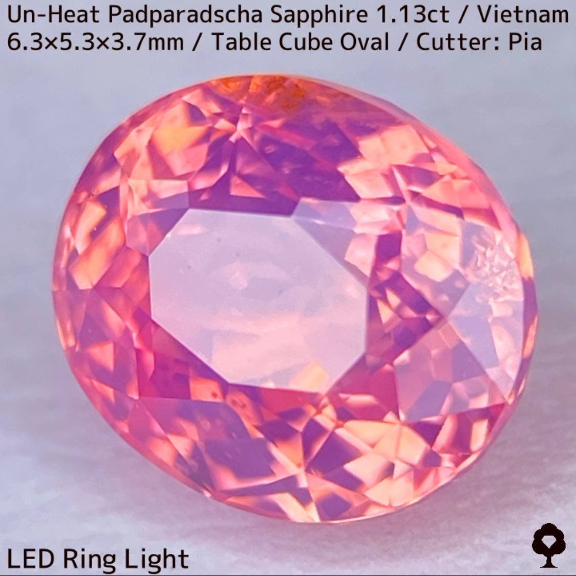 Un-Heat Padparadscha Sapphire 1.136ct / Vietnam