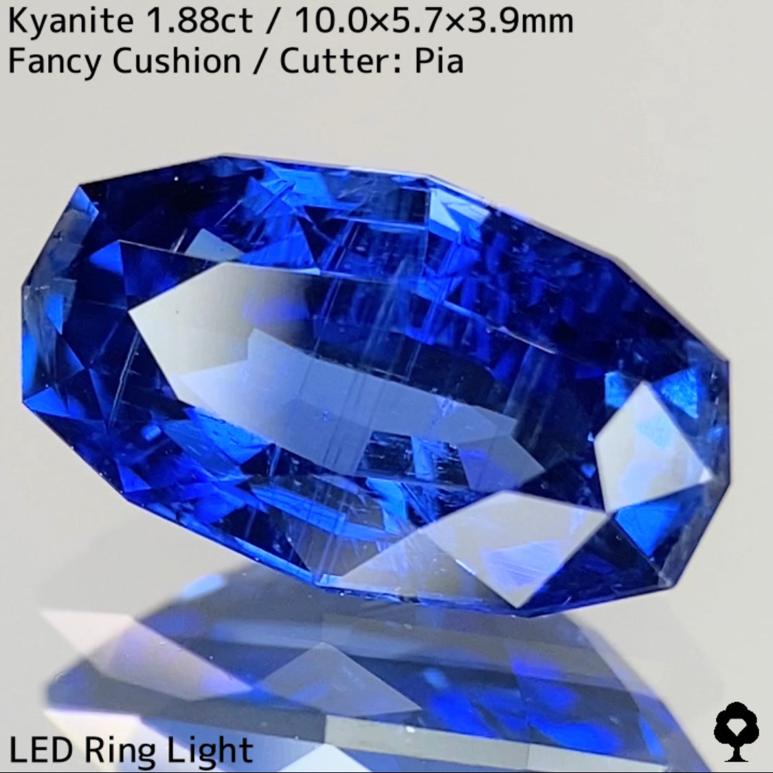 Kyanite 1.88ct / Nepal