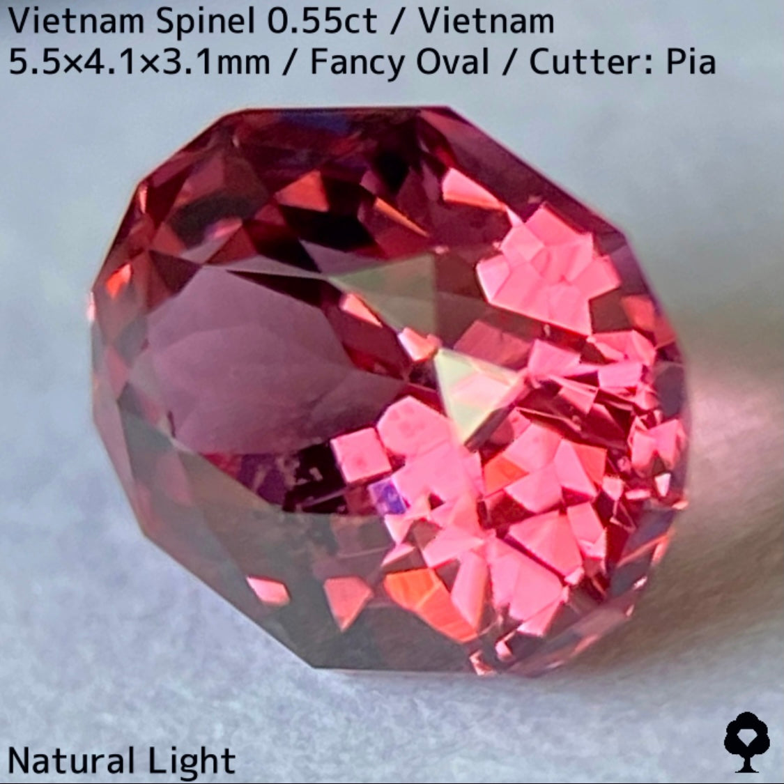 Spinel 0.55ct / Vietnam