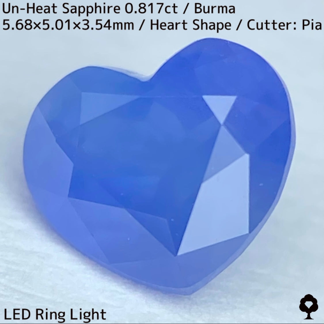Un-Heat Sapphire 0.817ct / Burma