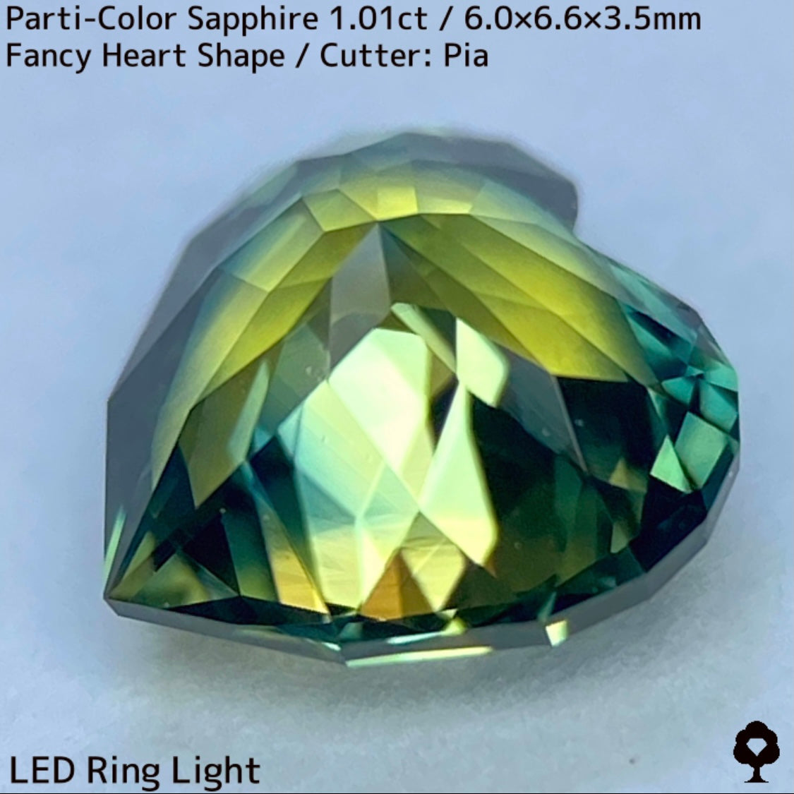 1.01ct Thai parti-colored sapphire ★ A rare fancy heart shape with a party feel that is typical of Bangkacha