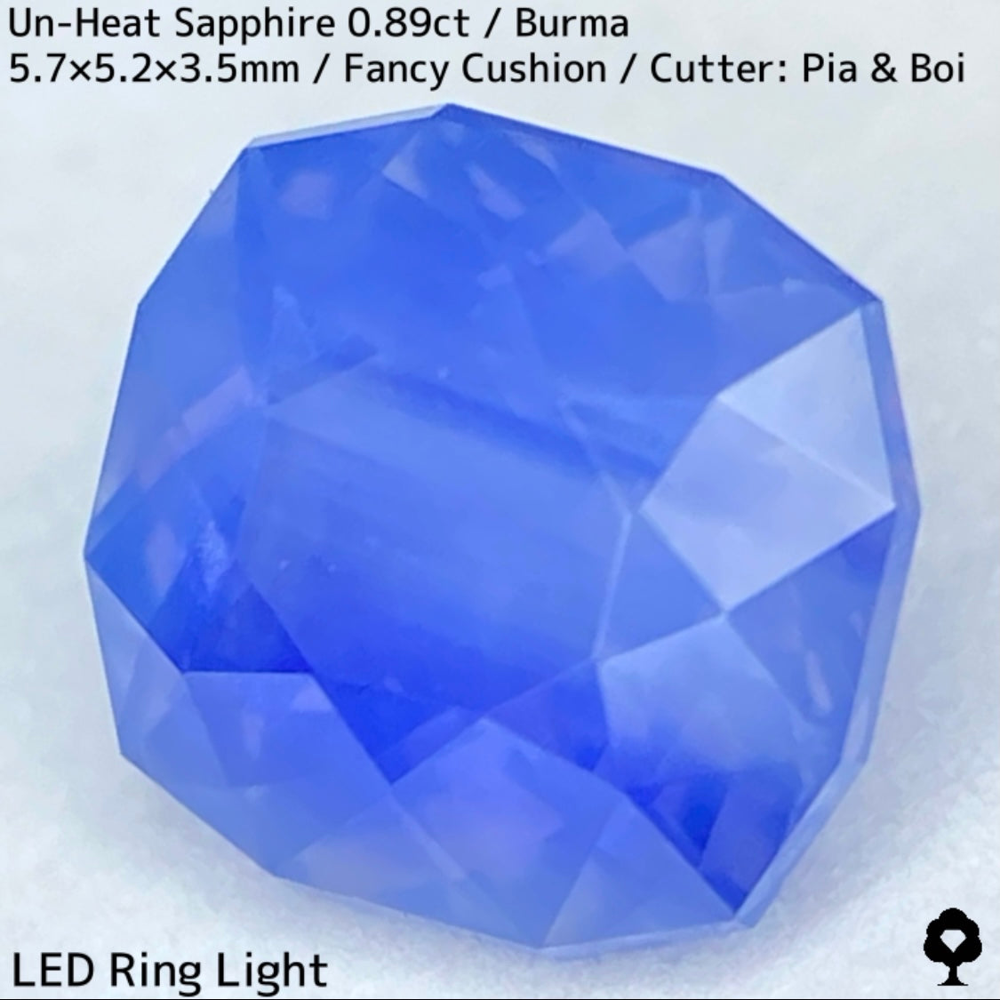 Un-Heat Sapphire 0.896ct / Burma