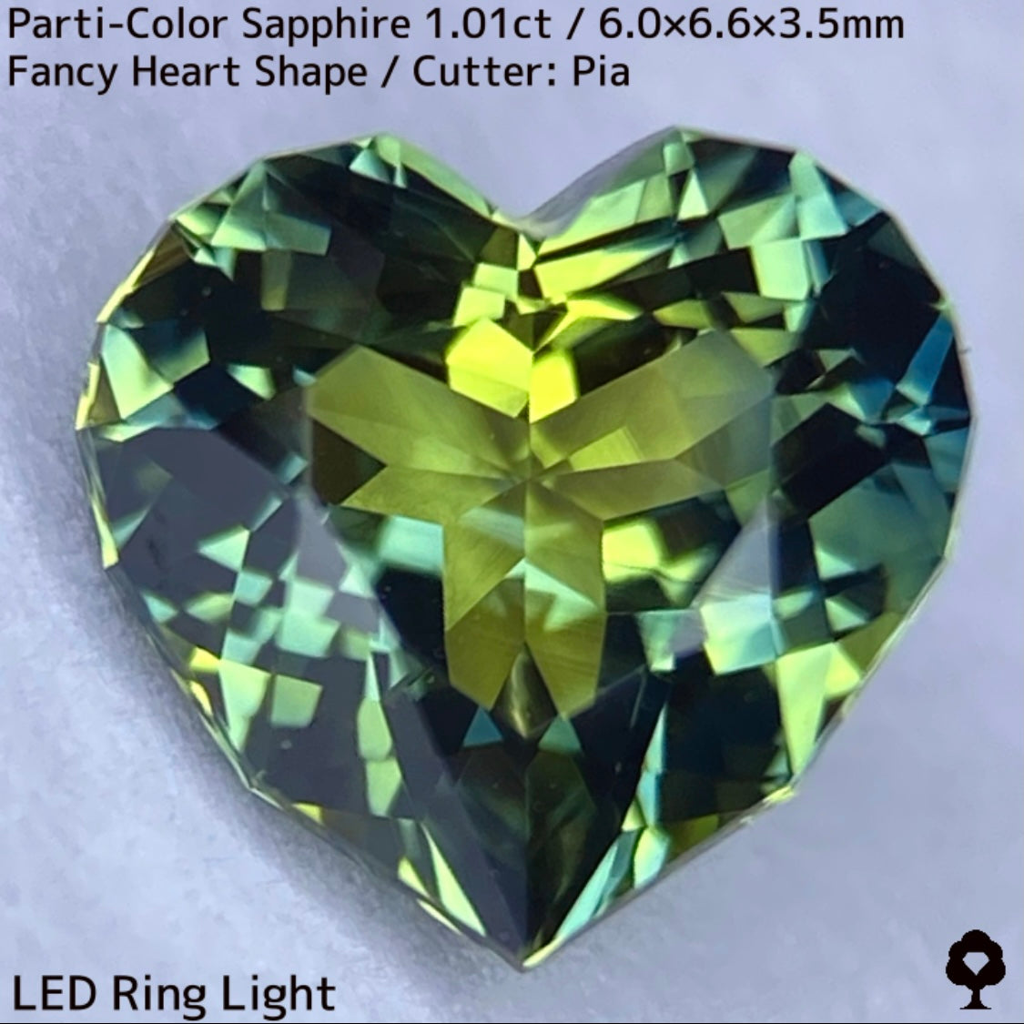 1.01ct Thai parti-colored sapphire ★ A rare fancy heart shape with a party feel that is typical of Bangkacha