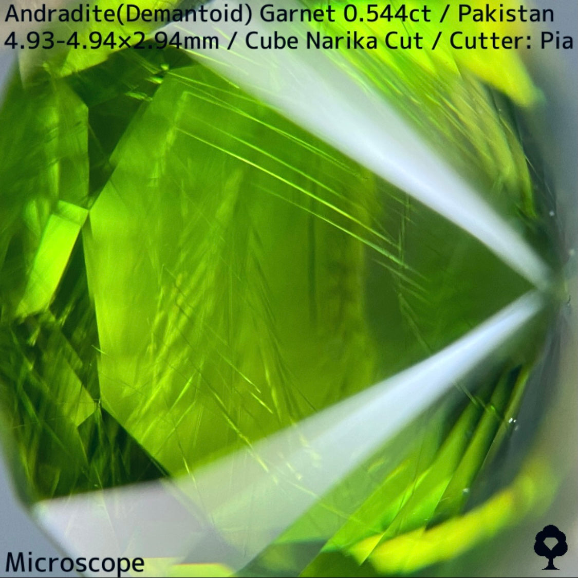 Andradite(Demantoid)0.544ct / Pakistan / Table cube Narika