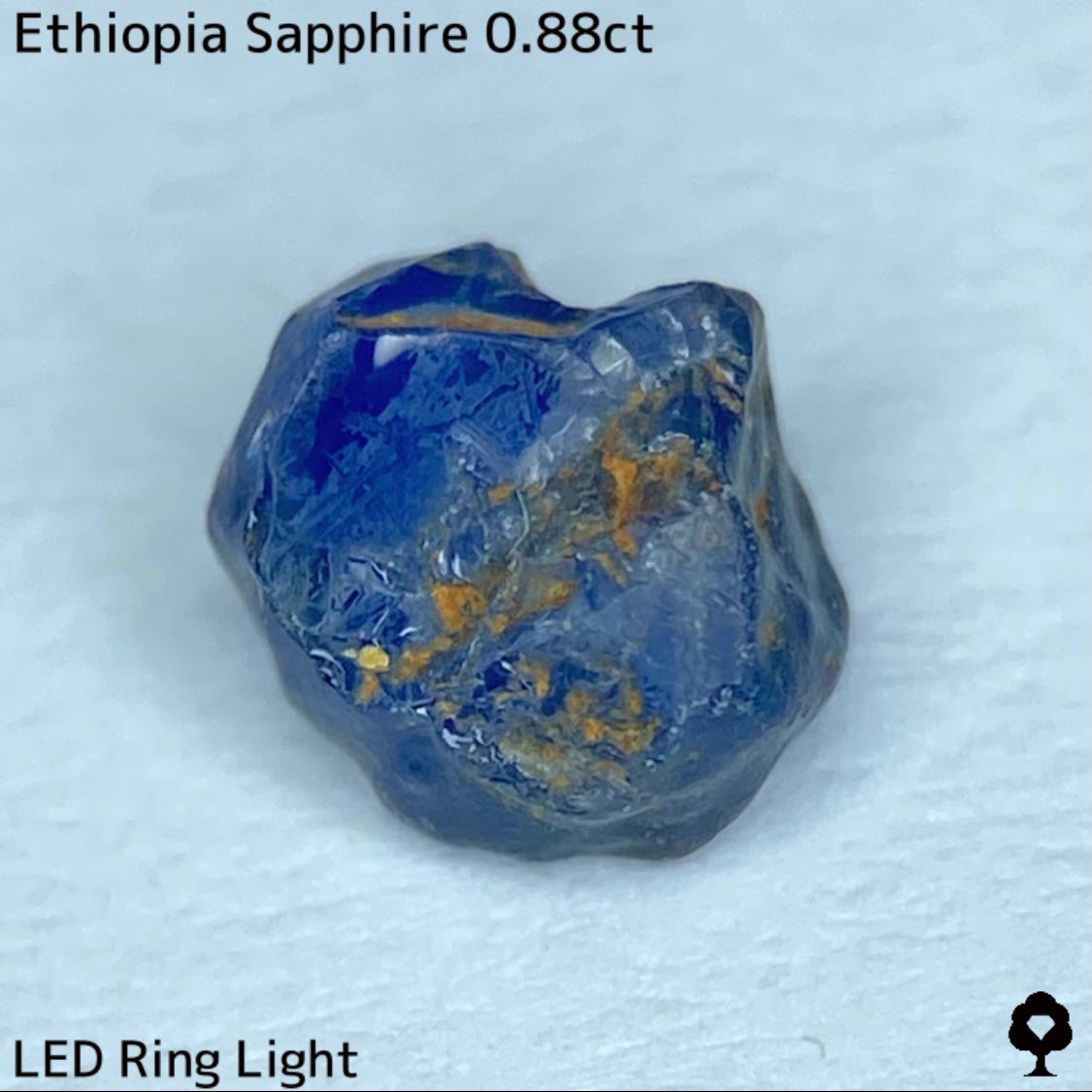 Ethiopian cornflower blue sapphire 0.369ct ★ Vivid and gorgeous, clear, beautiful crystal cut ★ Comes with 0.88ct rough stone