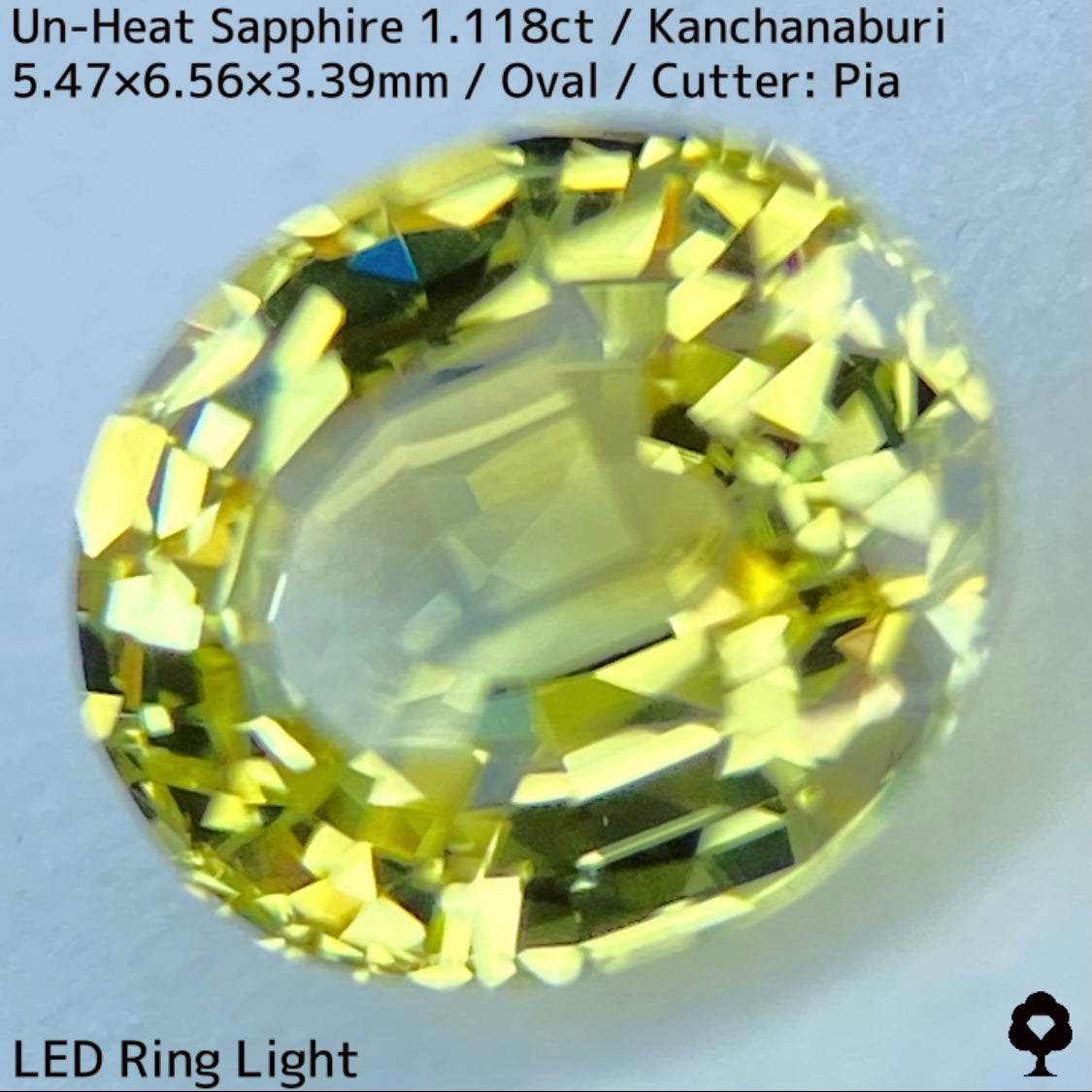 Kanchanaburi Sapphire 2Pc 2.231ct