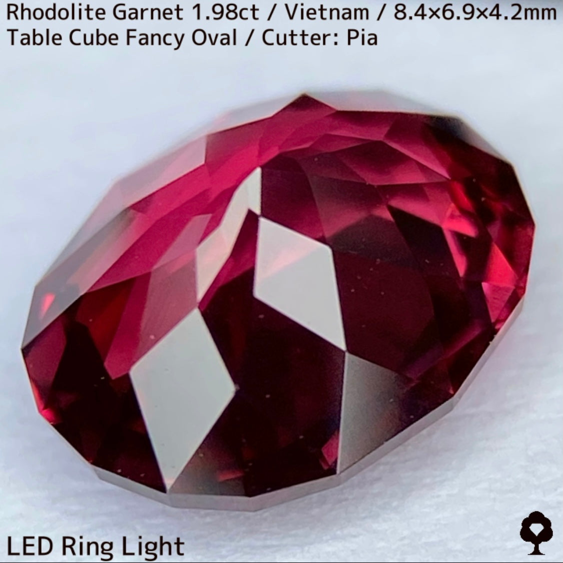 Rhodorite Garnet 1.990ct / Vietnam