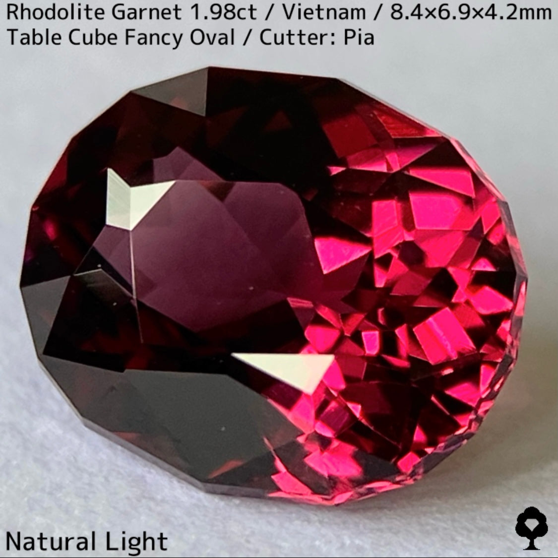 Rhodorite Garnet 1.990ct / Vietnam