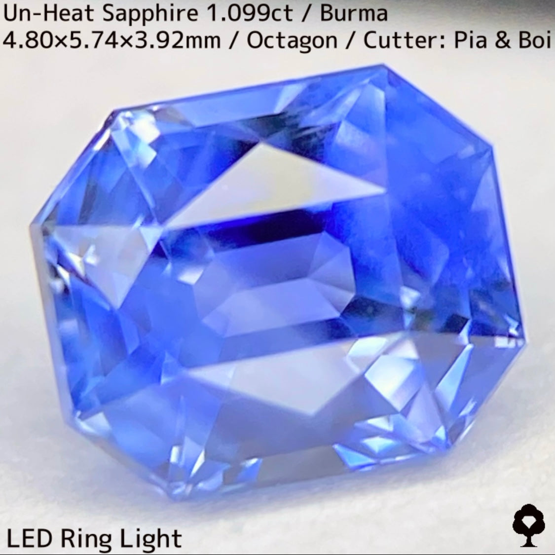 Un-Heat Sapphire 1.099ct / Burma