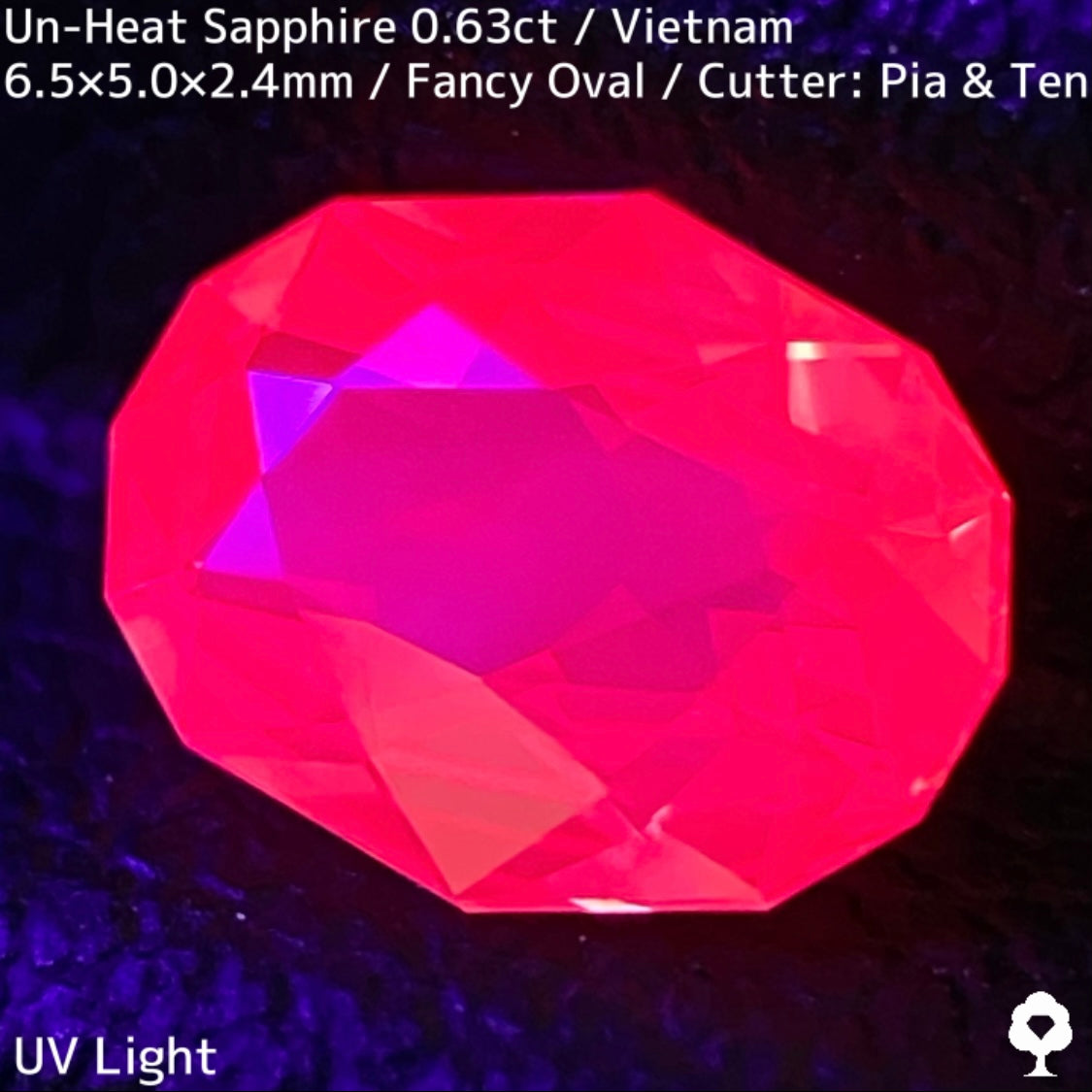 Un-Heat Sapphire 0.63ct / Vietnam