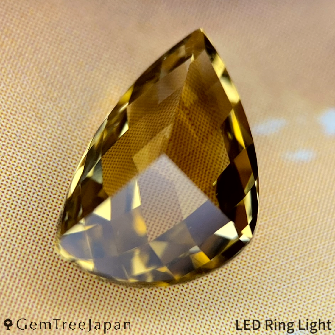 "Claw Cut" Tourmaline 1.802ct / Tanzania