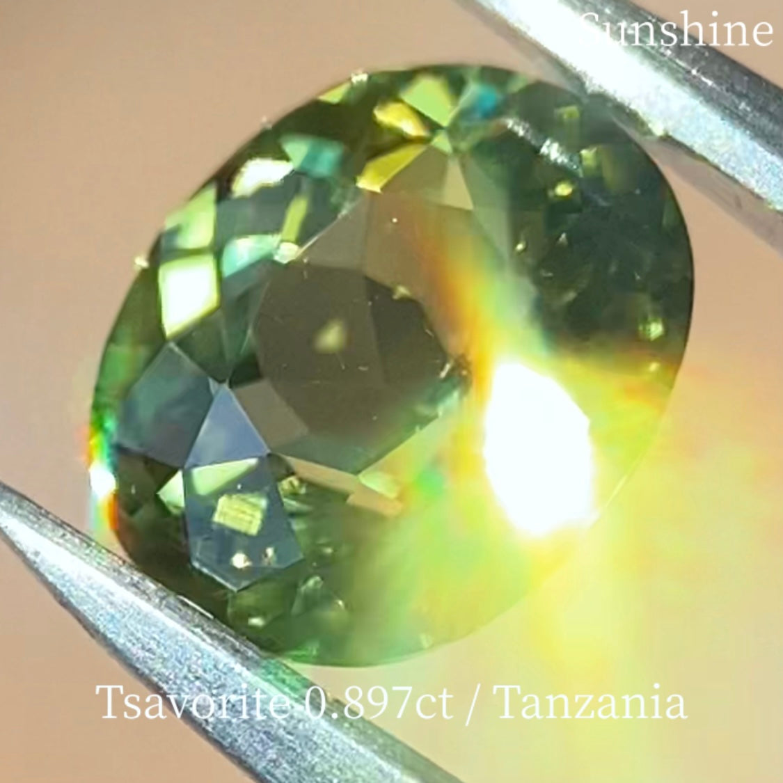 Tsavorite (Grossular Garnet) 0.897ct / Tanzania
