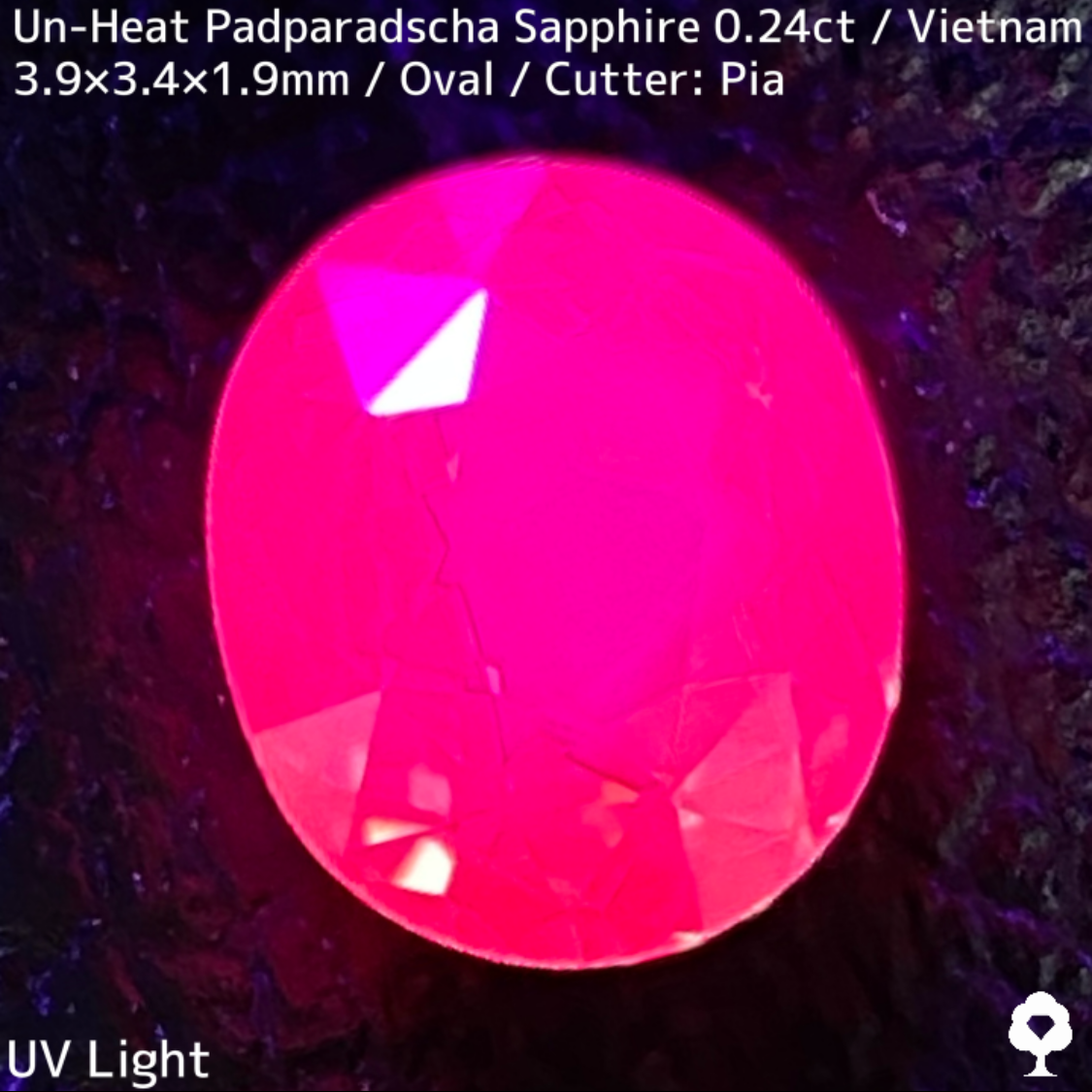 Un-Heat Padparadscha Sapphire 0.239ct / Vietnam