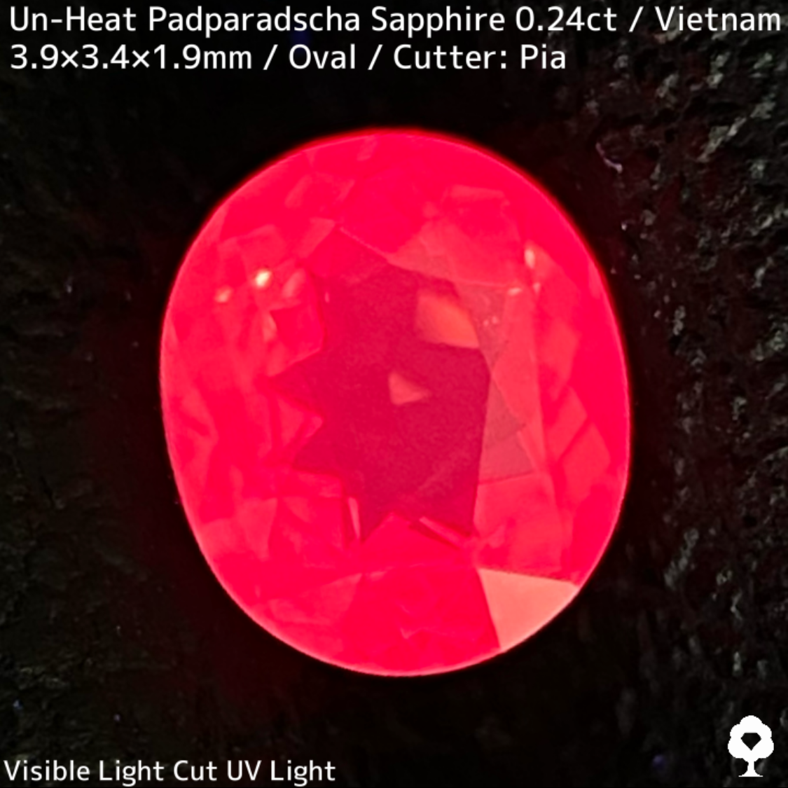 Un-Heat Padparadscha Sapphire 0.239ct / Vietnam