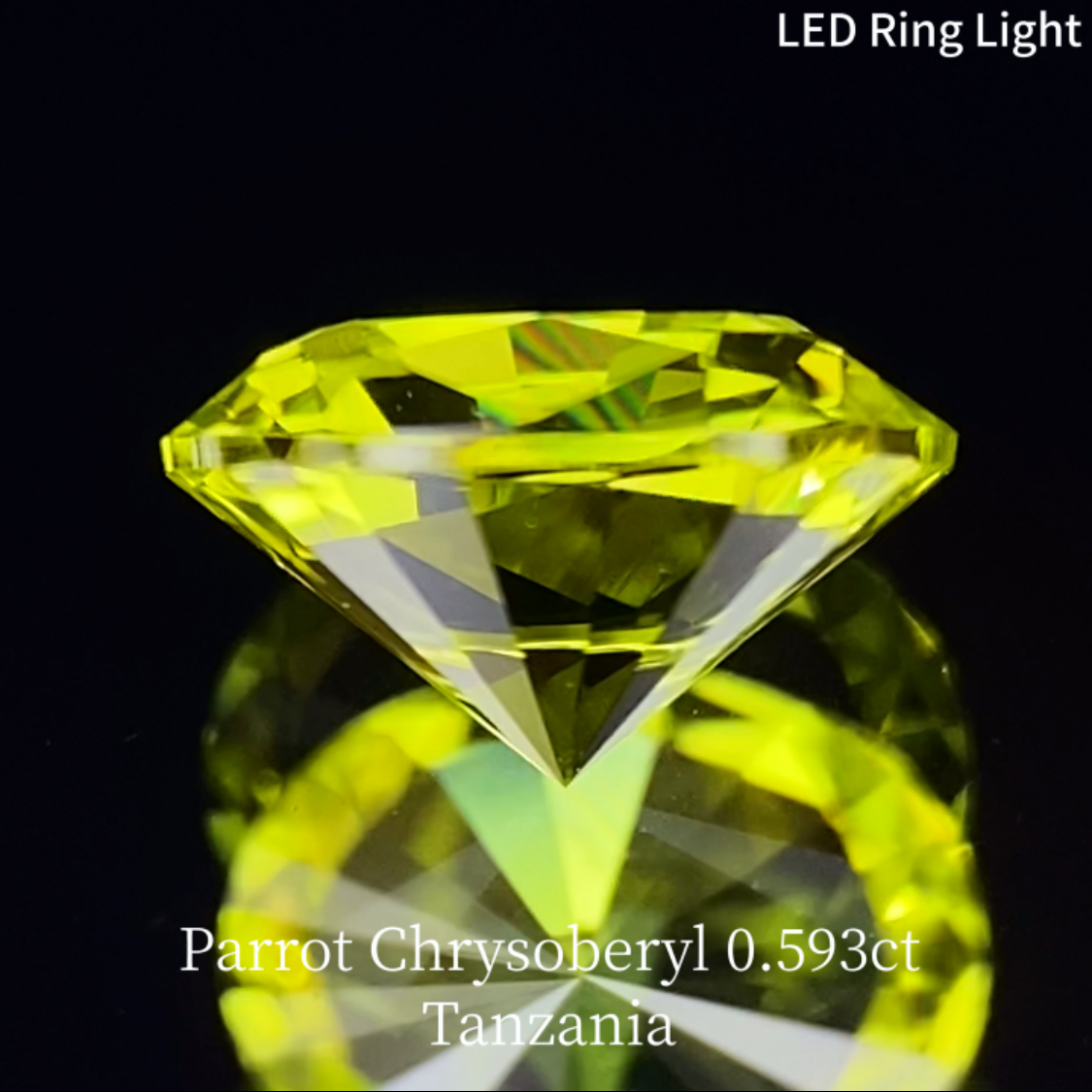 Parrot Chrysoberyl 0.593ct / Tanzania