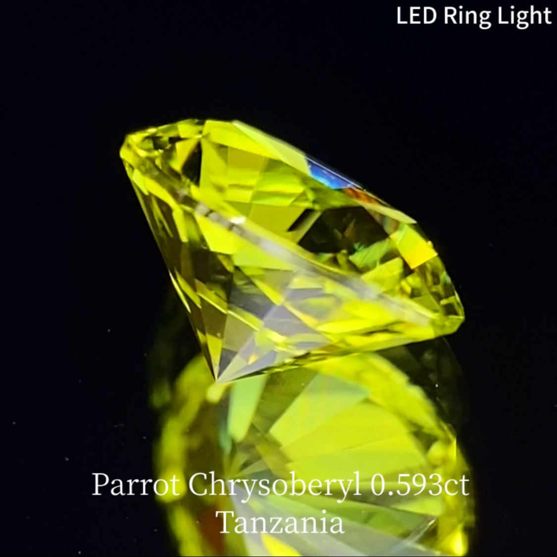 Parrot Chrysoberyl 0.593ct / Tanzania