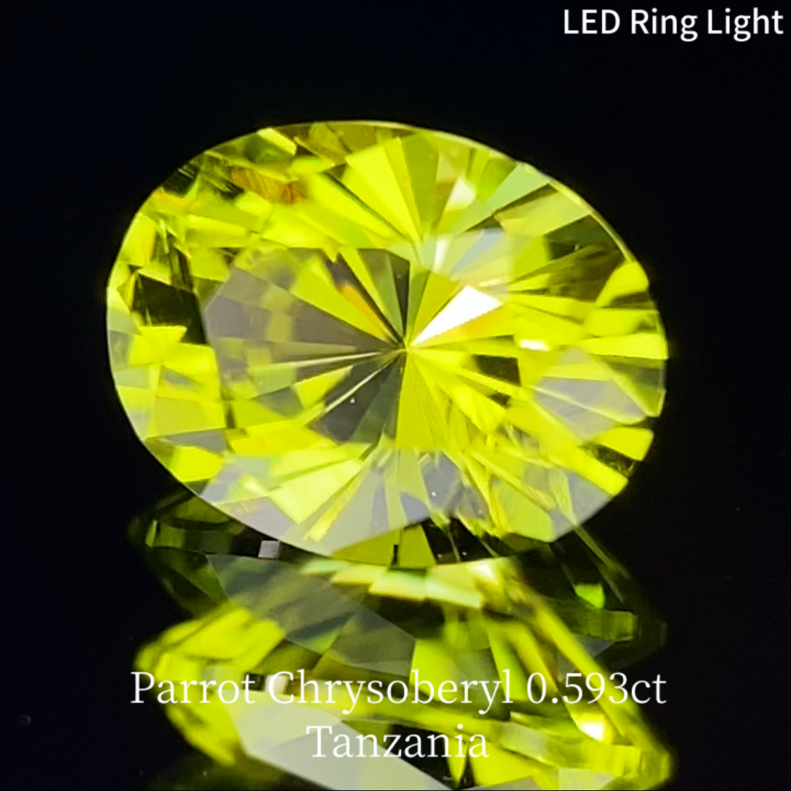 Parrot Chrysoberyl 0.593ct / Tanzania